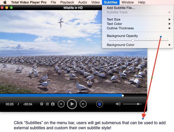 free hd video player for mac